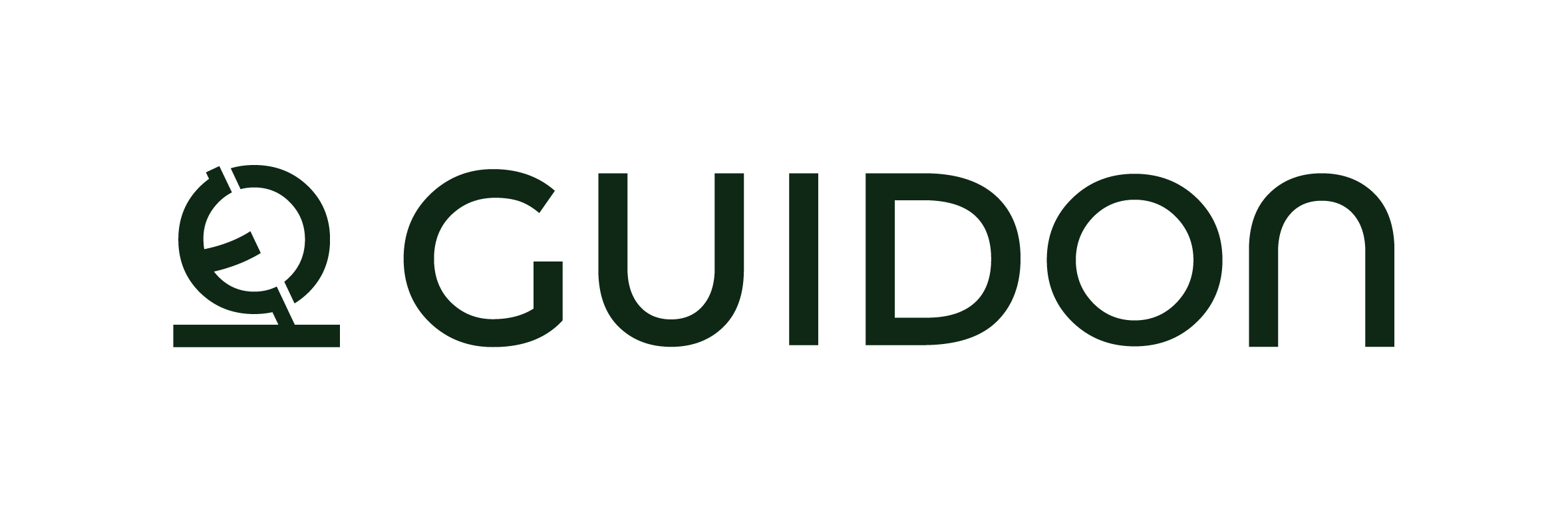 Guidon